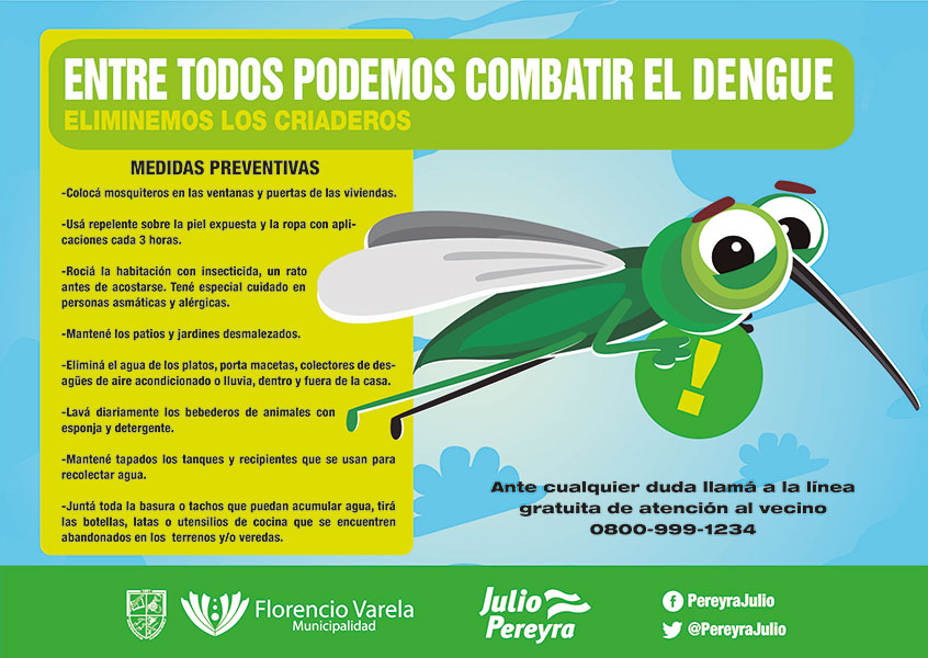 Que Es El Dengue Para Primaria