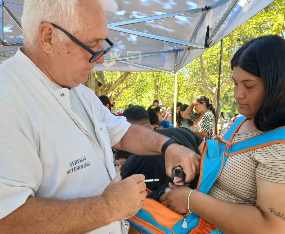 Éxito en las jornadas veterinarias: más de 200 mascotas atendidas y confirman nuevas fechas para febrero